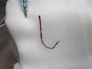 IMG_0454