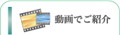 動画でご紹介