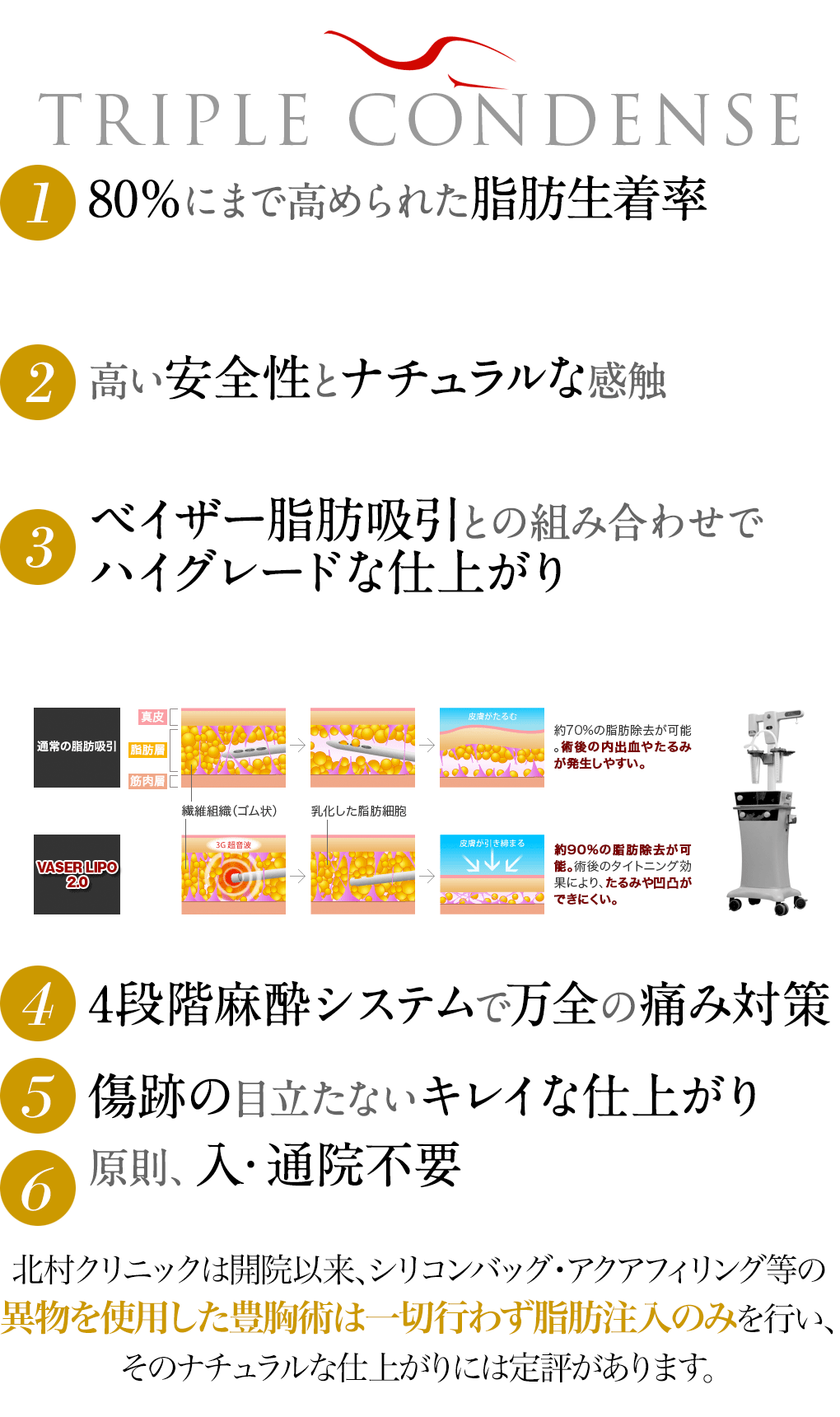 80％にまで高められた脂肪生着率／高い安全性とナチュラルな感触／ベイザー脂肪吸引との組み合わせでハイグレードな仕上がり