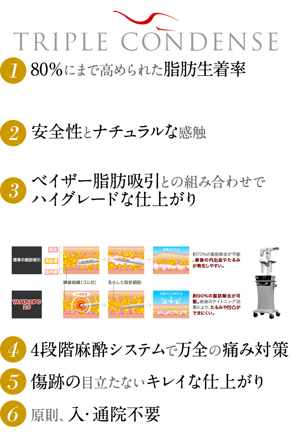 80％にまで高められた脂肪生着率／高い安全性とナチュラルな感触／ベイザー脂肪吸引との組み合わせでハイグレードな仕上がり