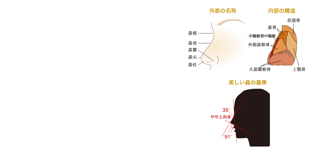 ヒアルロン酸注入