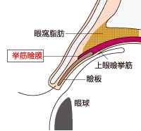 手術法